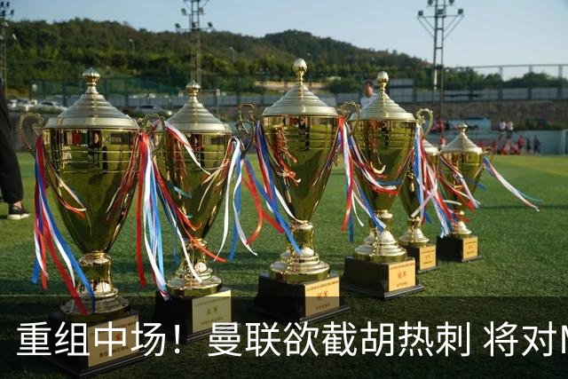 重组中场！曼联欲截胡热刺 将对M·费尔南德斯开高额报价